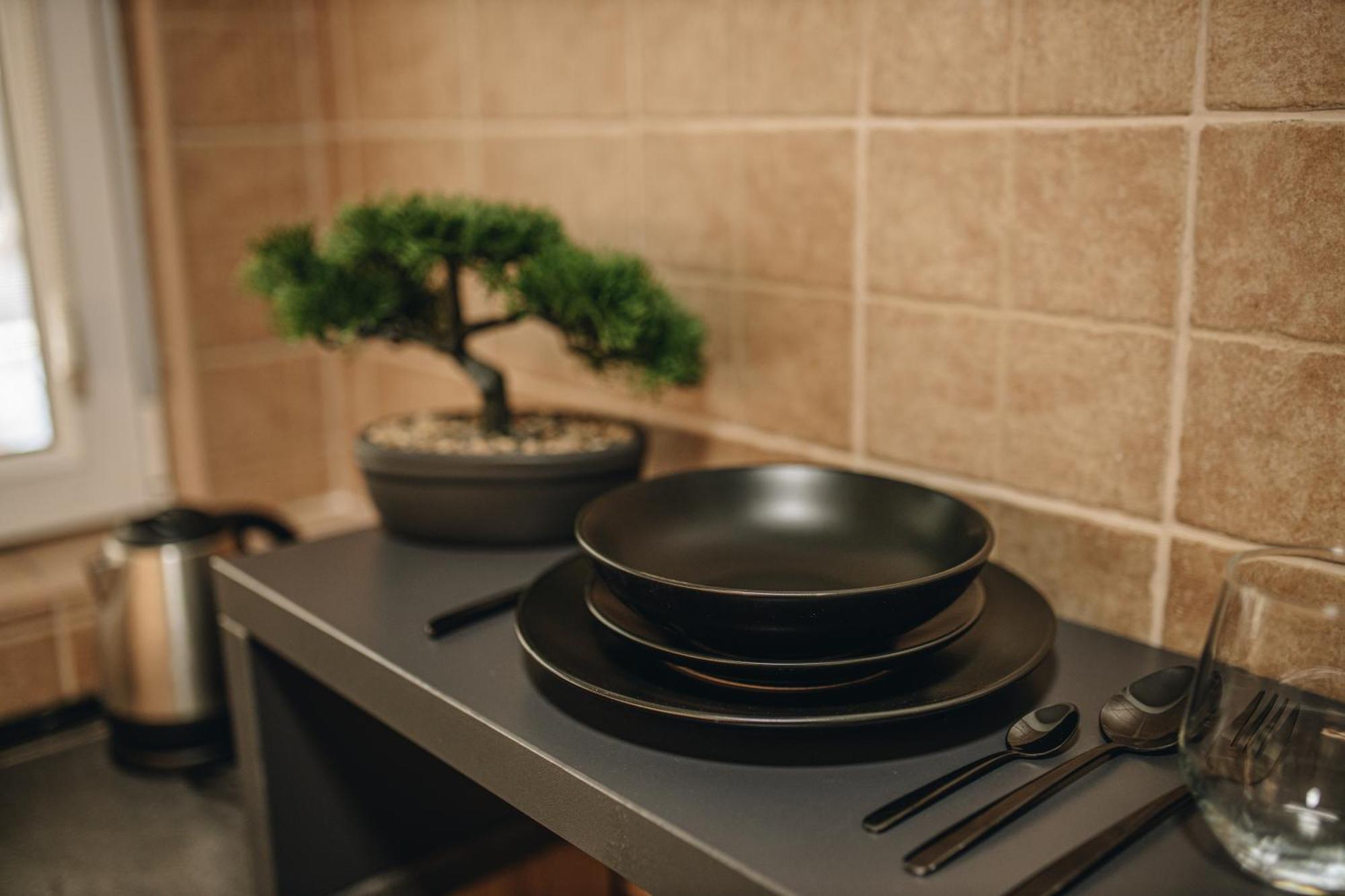Apartman Premijer 1 *